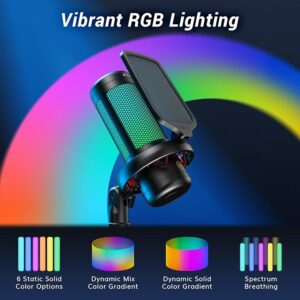 Premium RGB Gaming USB Microphone Set